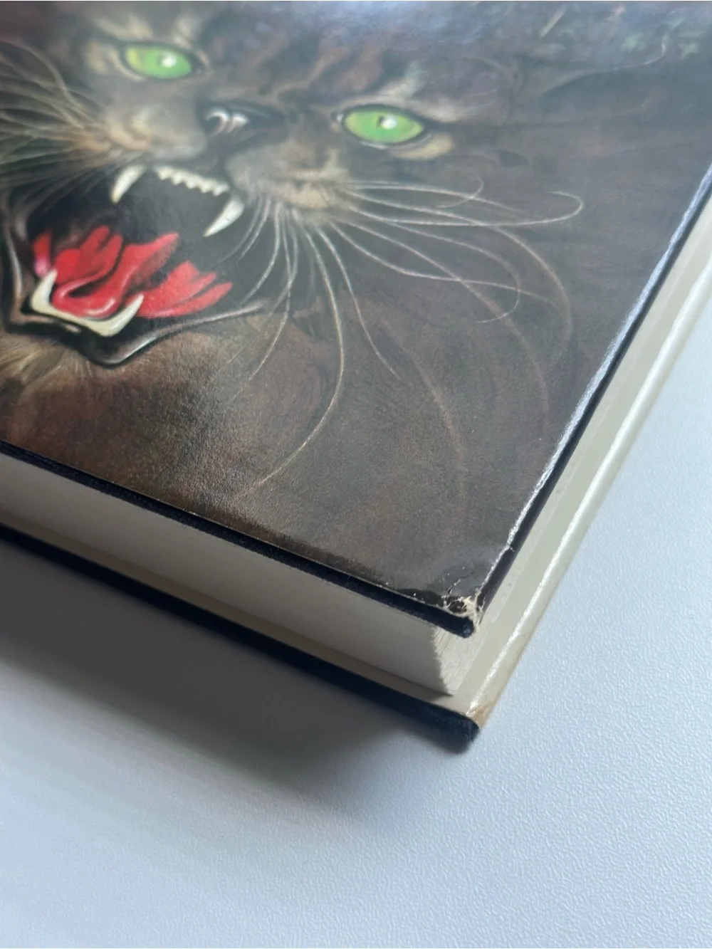 BOOK pet sematary